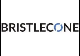 Bristlecone Recruitment